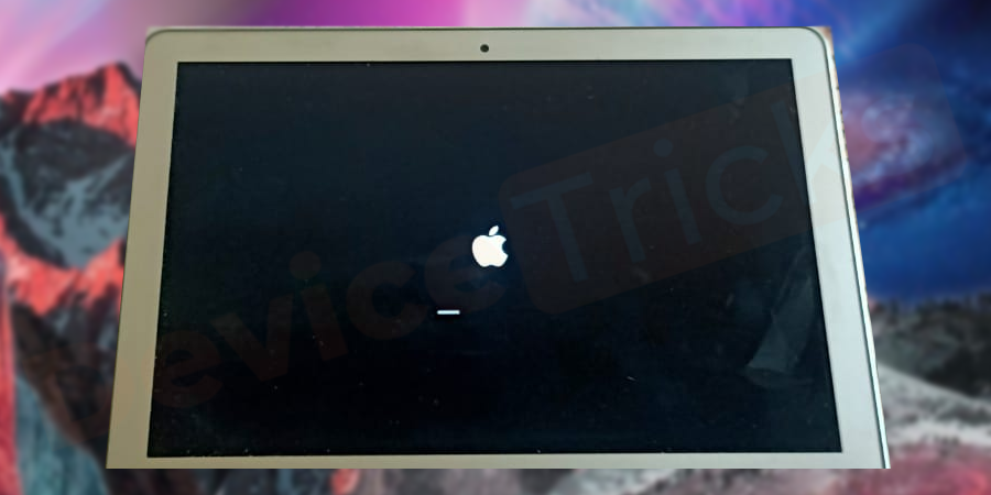 Wait until the Apple logo is visible on the screen.