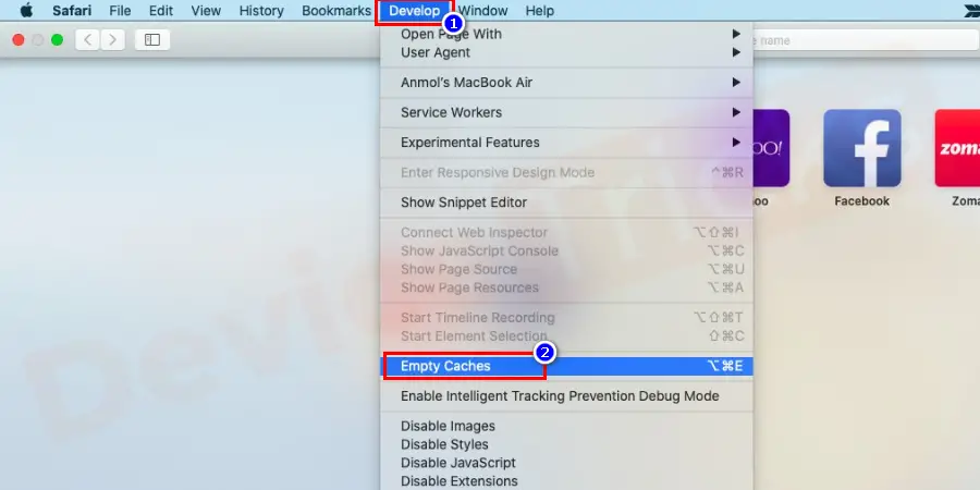 Now choose the Develop drop-down menu and click Empty Cache.