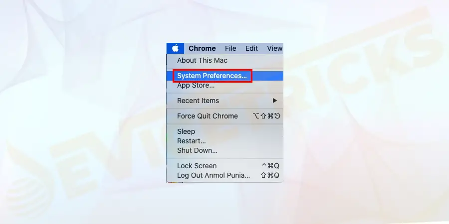Go to System Preferences.