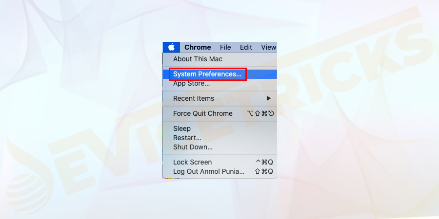 Go to System Preferences.