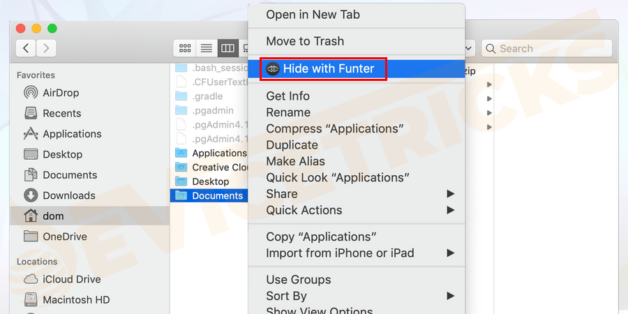 You can also, right-click on a file and then click on the "Hide with Funter" option. And then all the hidden files will be visible.