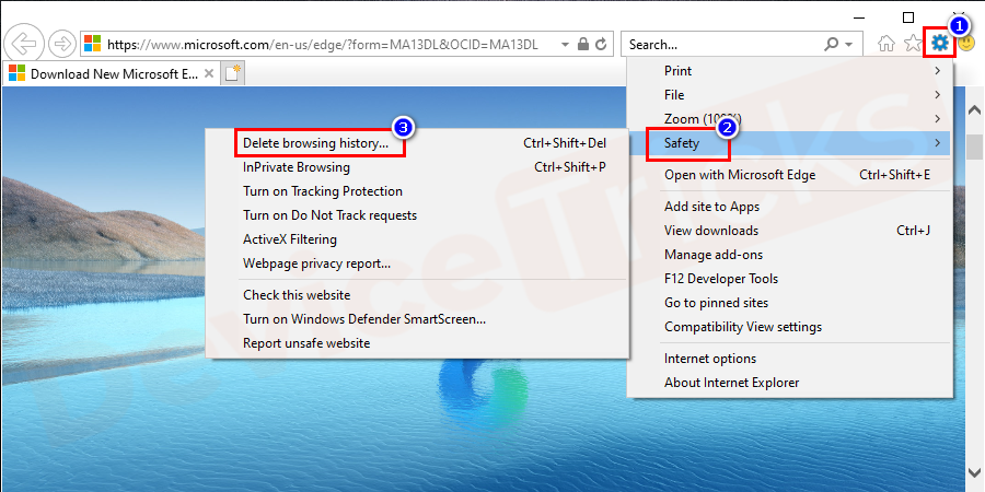 Next click on 'Safety' and select the option 'Delete browsing history'.