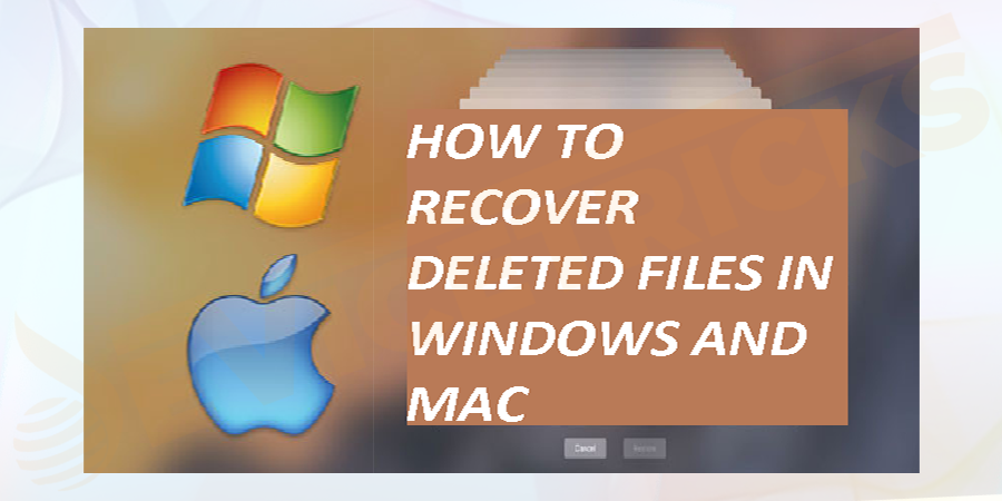 recover mac files on windows recover mac files on windows