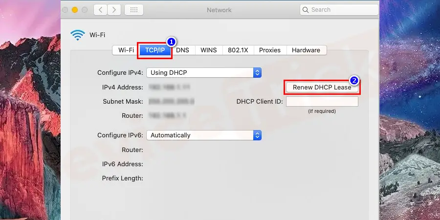 Click the TCP/IP tab. Then click on the Renew DHCP lease button.