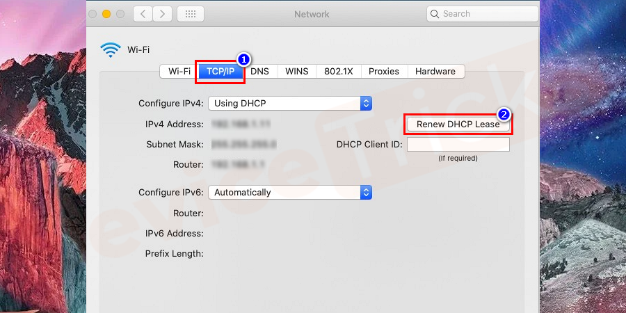 Click the TCP/IP tab. Then click on the Renew DHCP lease button.