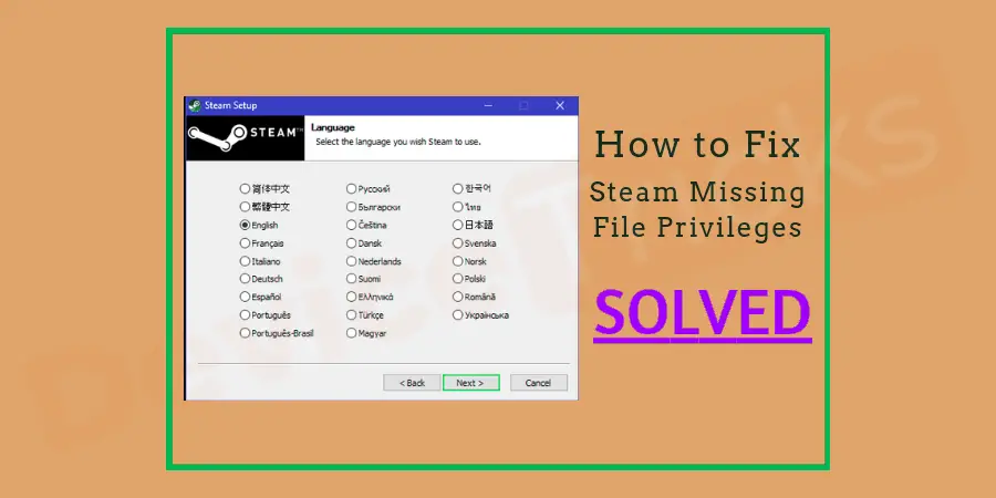 How to fix an error ‘Steam Missing File Privileges’?