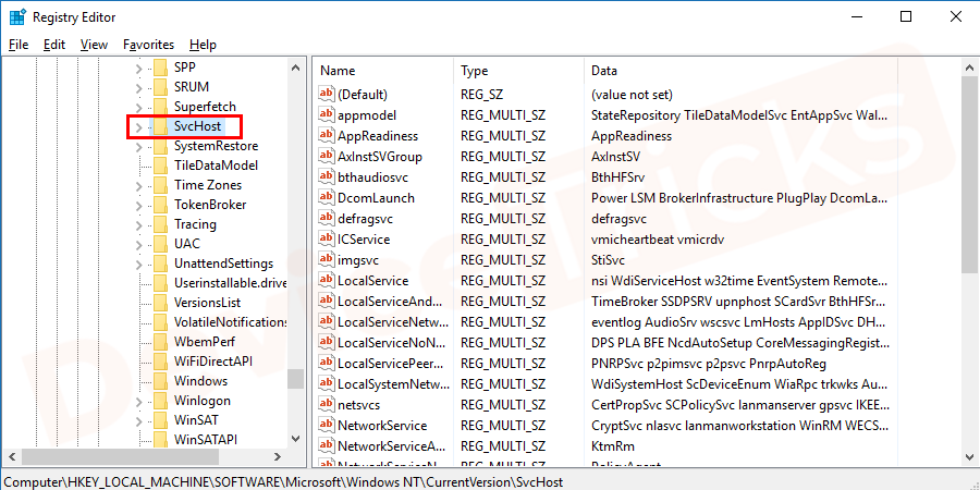 And then go inside SVCHOST. It is the most important path and you have to look at the values present in the files.