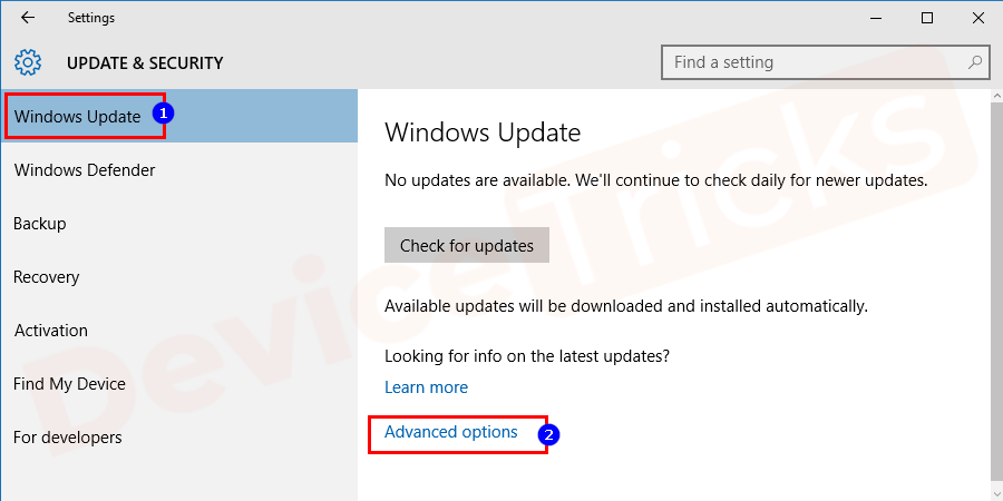 Next, select Windows Update from the panel. On the right panel, click on the advanced option.