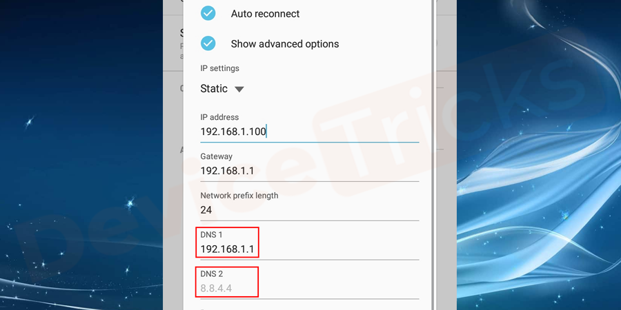 and type in DNS 1 and DNS 2 in DNS servers IP addresses to sections.
