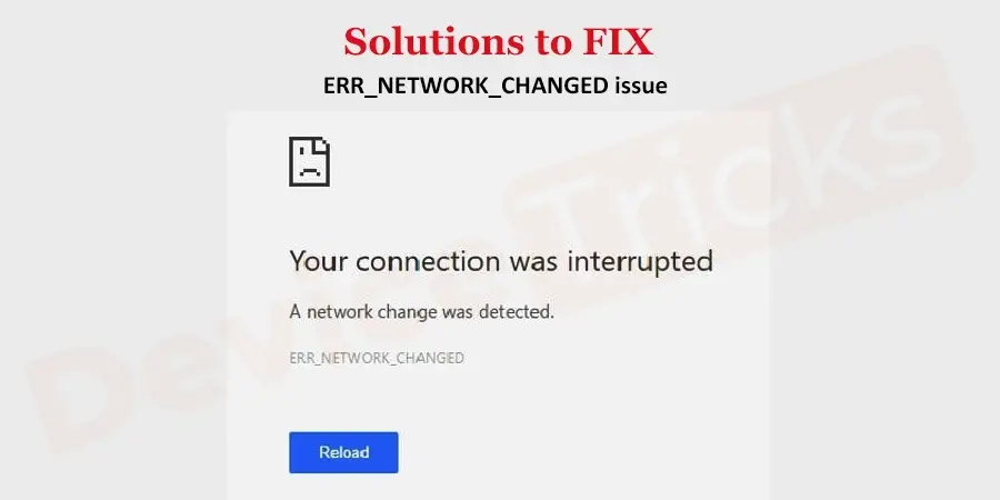 How to fix Network Error?